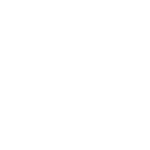 Airport Shuttle (free)